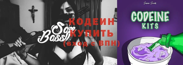 дживик Абаза