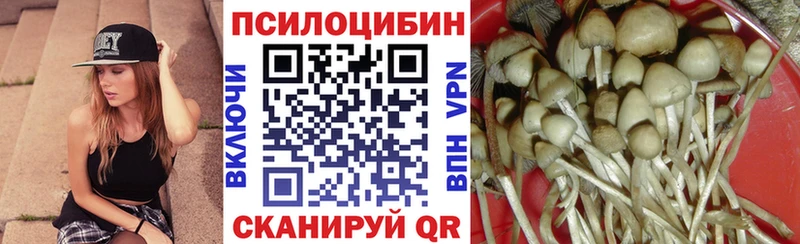 купить наркотики цена  Киренск  Галлюциногенные грибы мухоморы 